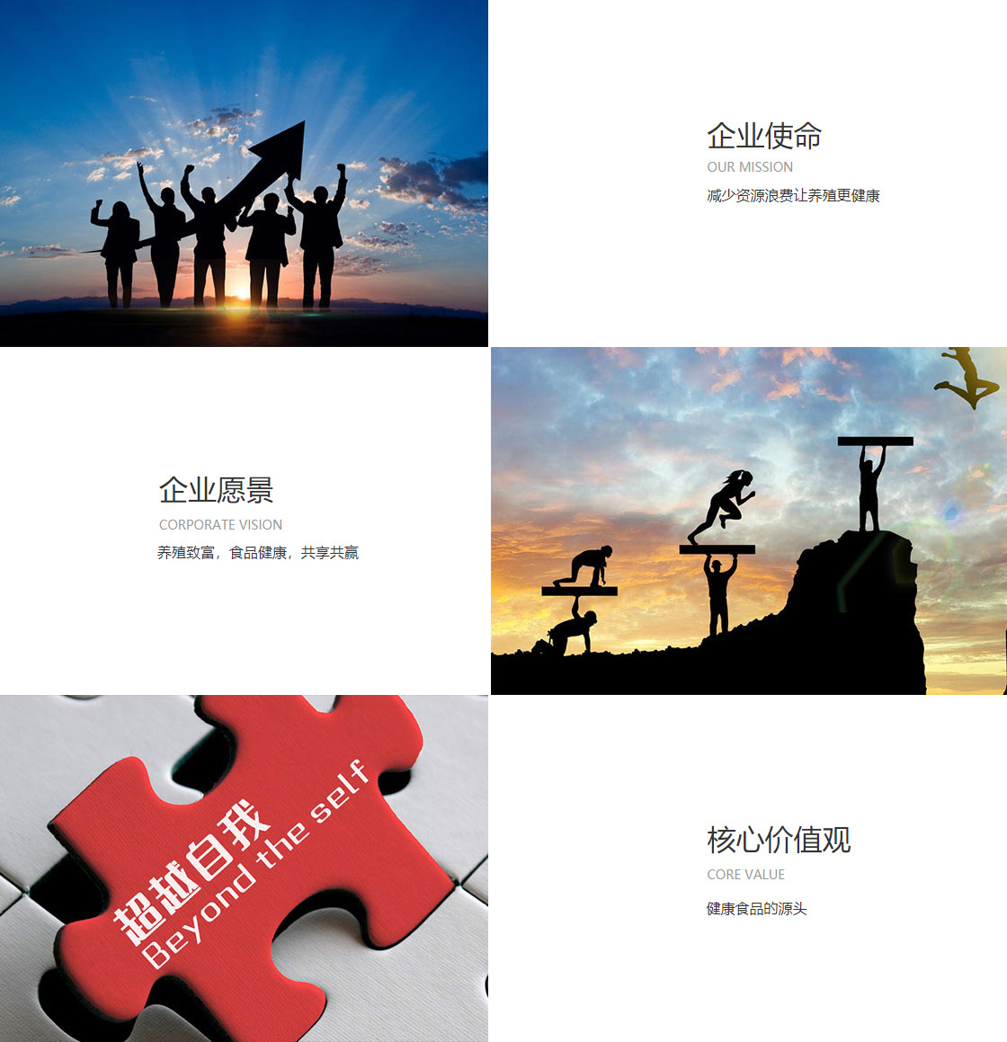 抓饭直播下载(图1)